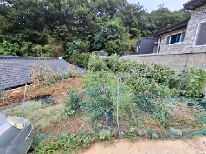 2025타경31085 법원경매 사진11 | 경남 남해군 주택건물 경매