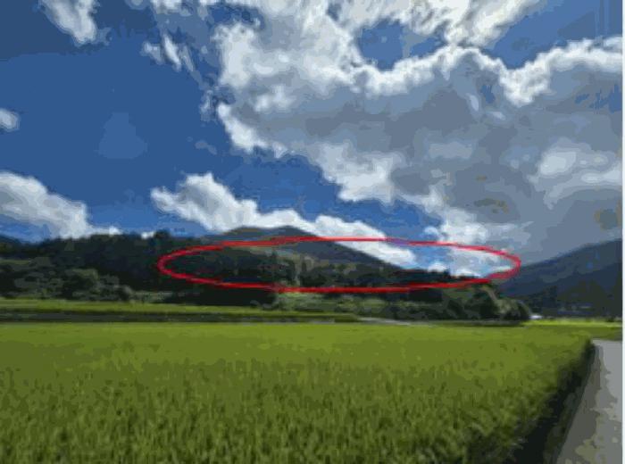 2025타경31178 법원경매 사진3 | 경남 남해군 임야 경매