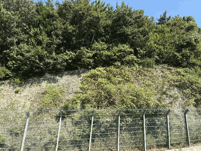 2025타경31204 법원경매 사진4 | 경남 남해군 임야 경매