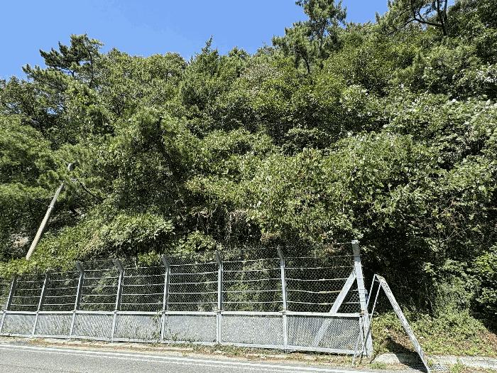 2025타경31204 법원경매 사진5 | 경남 남해군 임야 경매