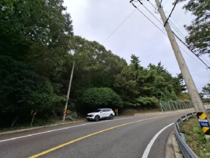 2025타경31204 법원경매 사진8 | 경남 남해군 임야 경매