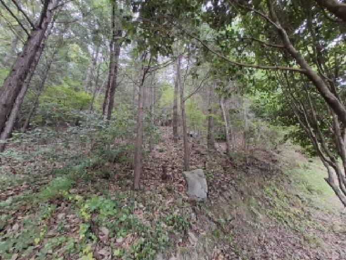 2025타경31204 법원경매 사진9 | 경남 남해군 임야 경매