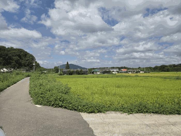 경남 창녕군 성산면 대견리 352 답 사진 3