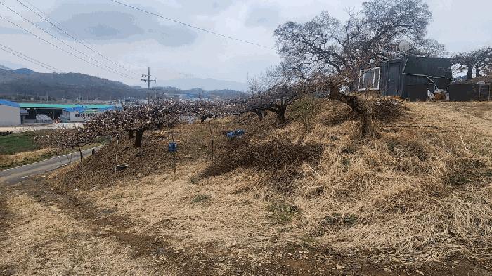 2025타경2106 법원경매 사진2 | 경남 창녕군 기타 경매
