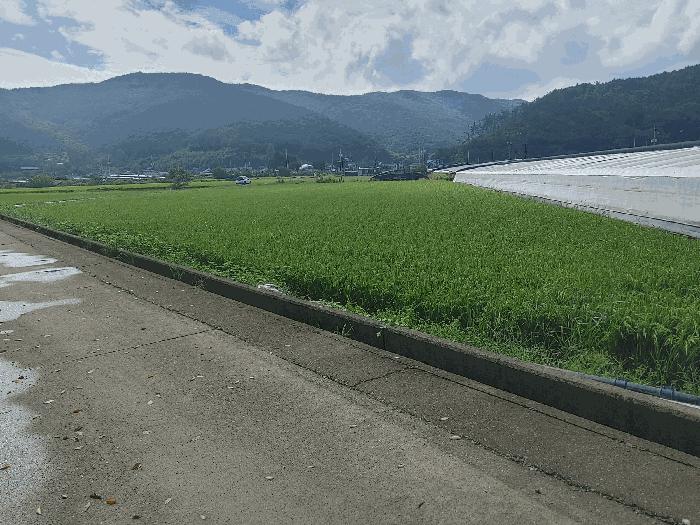 경상남도 밀양시 무안면 죽월리 184 법원경매 물건 대표사진