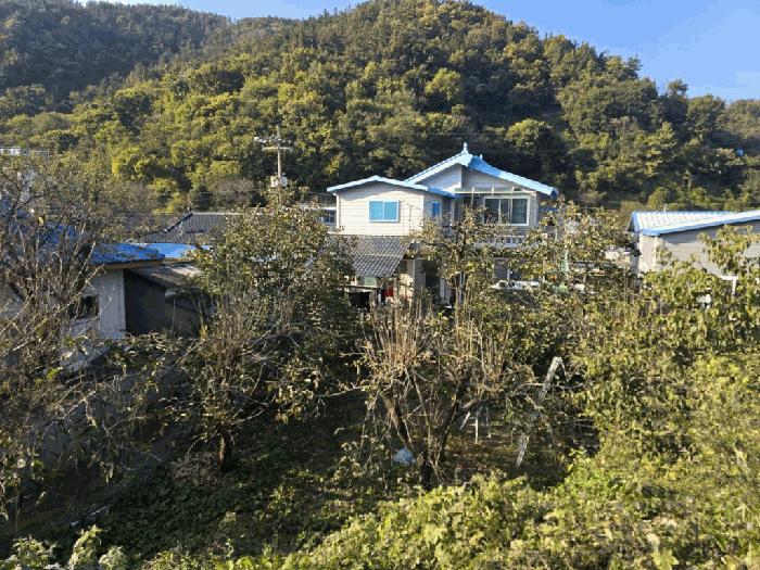 2025타경10548 법원경매 사진5 | 경남 밀양시 주택건물 경매
