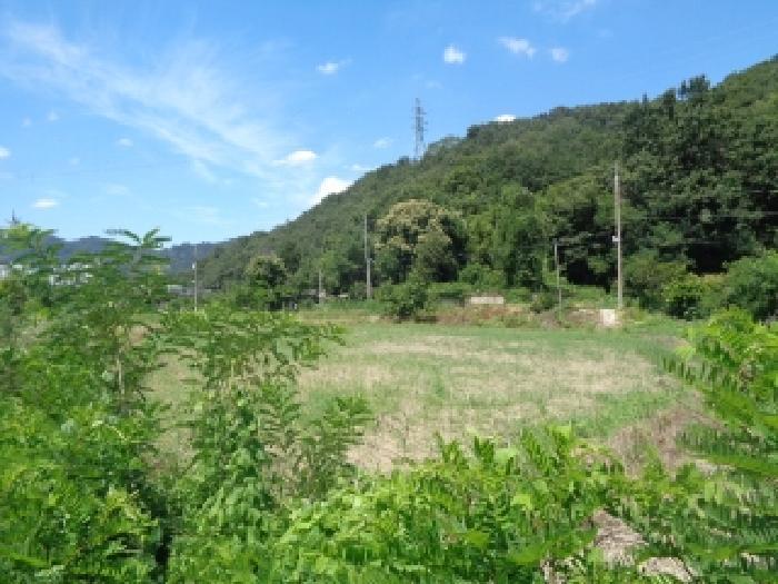 2025타경848 법원경매 사진4 | 전주 완산구 답 경매