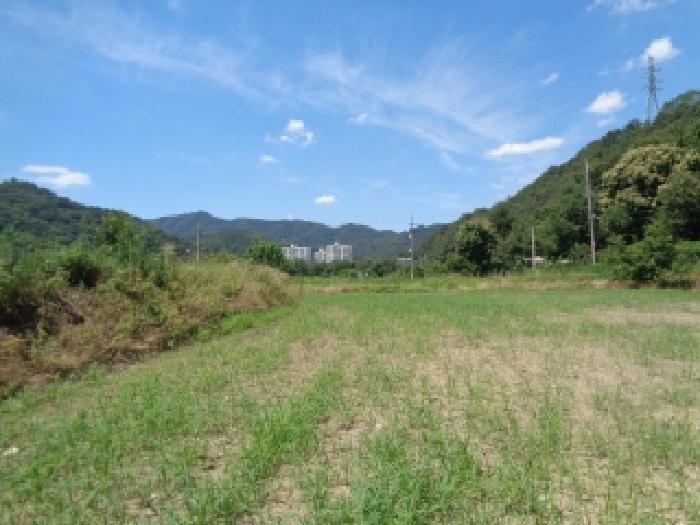 2025타경848 법원경매 사진5 | 전주 완산구 답 경매