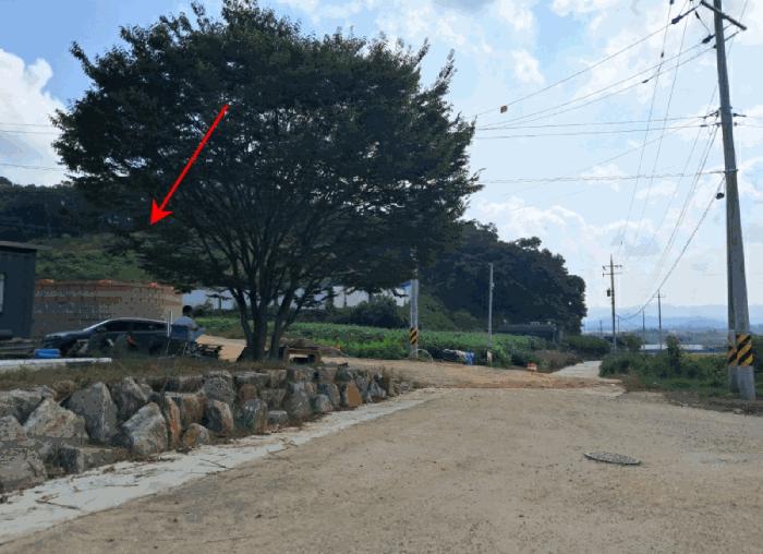 법원경매 2025타경4308 사진5 | 연천군 백학면 전동리 136 전 경매