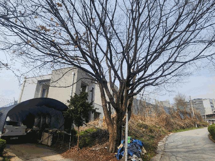 법원경매 2025타경72032 사진4 | 양주시 백석읍 방성리 183-9 주택건물 경매