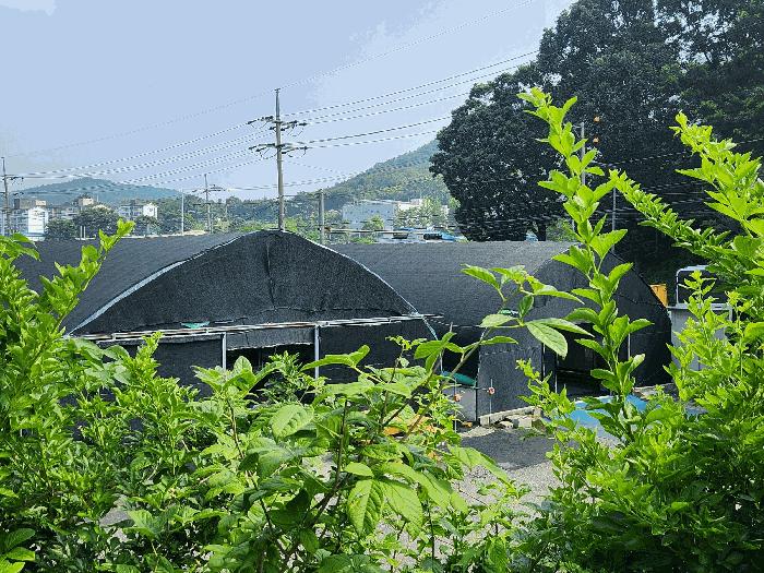 2025타경72612 법원경매 사진11 | 경기 연천군 전 경매