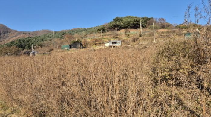 2025타경73312 법원경매 사진10 | 경기 포천시 잡종지 경매