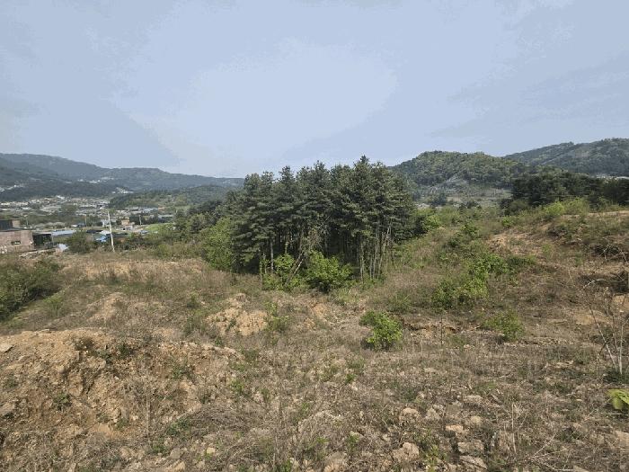 법원경매 2025타경1549 사진11 | 가평군 상면 임초리 106-18 임야 경매