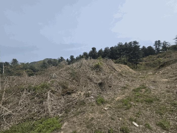 법원경매 2025타경1549 사진7 | 가평군 상면 임초리 106-18 임야 경매