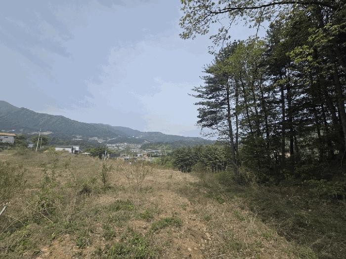 법원경매 2025타경1549 사진9 | 가평군 상면 임초리 106-18 임야 경매