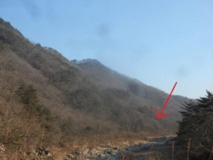 법원경매 2024타경2065 사진2 | 영월군 무릉도원면 운학리 임야 경매