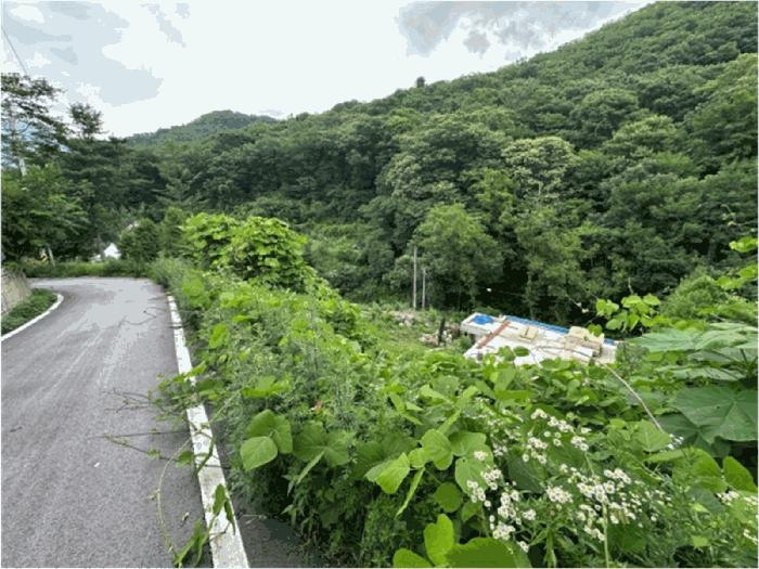 법원경매 2025타경71847 사진4 | 남양주시 수동면 지둔리 57-2 답 경매