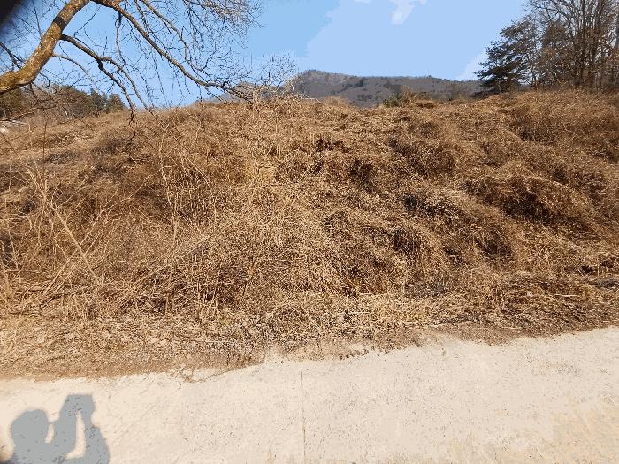 법원경매 2025타경136 사진2 | 문경시 농암면 내서리 739-5 전 경매