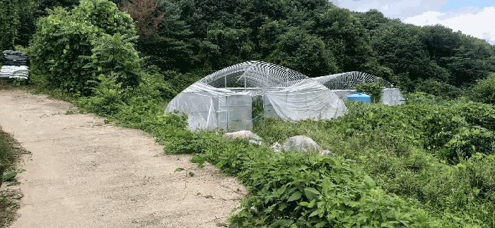 2025타경502886 법원경매 사진3 | 세종 전의면 답 경매