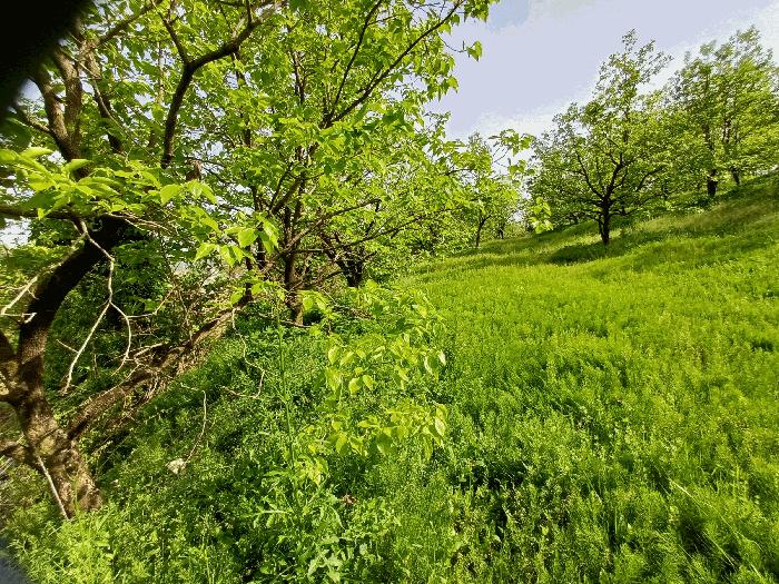 법원경매 2025타경5302 사진9 | 예천군 예천읍 대심리 668 전 경매