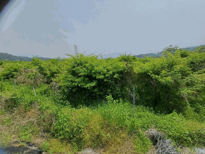법원경매 2025타경5330 사진6 | 상주시 공성면 도곡리 434 답 경매