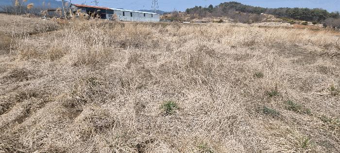 충청남도 보령시 주교면 주교리 817 법원경매 물건 대표사진
