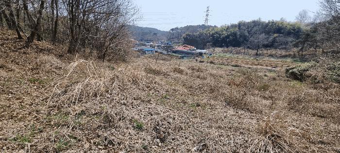 2025타경15595 법원경매 사진2 | 충남 보령시 전 경매