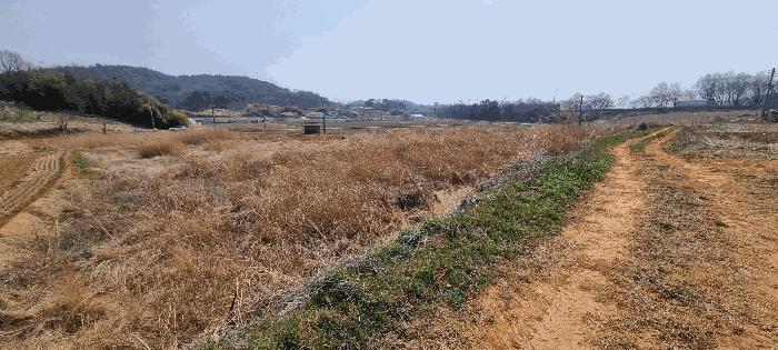 2025타경15595 법원경매 사진5 | 충남 보령시 전 경매