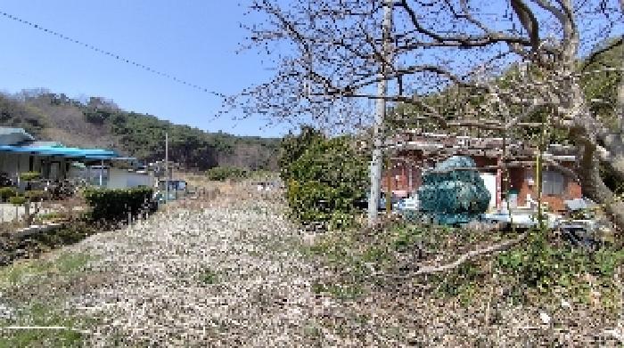 2025타경15595 법원경매 사진7 | 충남 보령시 전 경매