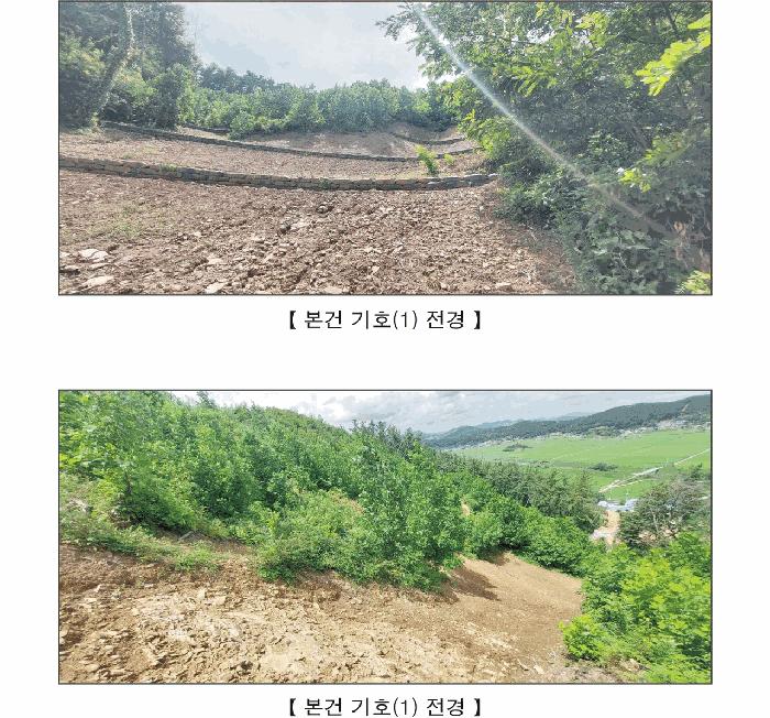 2025타경15887 법원경매 사진3 | 충남 서천군 임야 경매