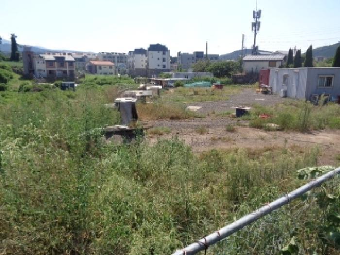 2025타경1626 법원경매 사진10 | 제주 제주시 과수원 경매