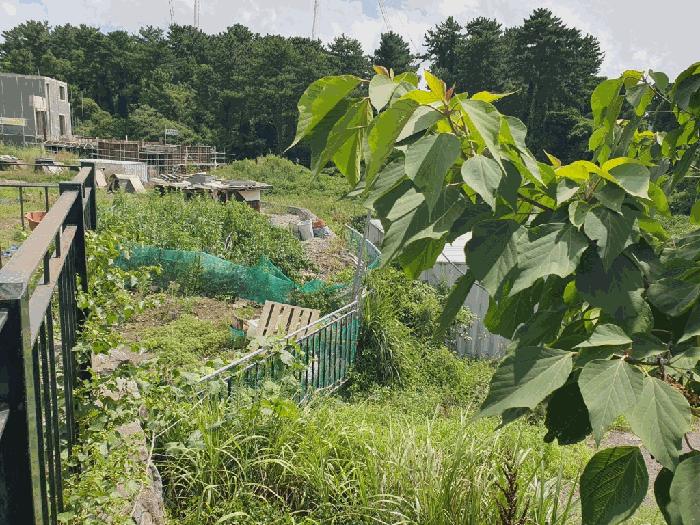 2025타경1626 법원경매 사진2 | 제주 제주시 과수원 경매