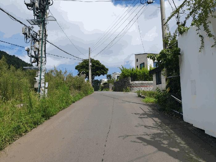 2025타경1626 법원경매 사진5 | 제주 제주시 과수원 경매
