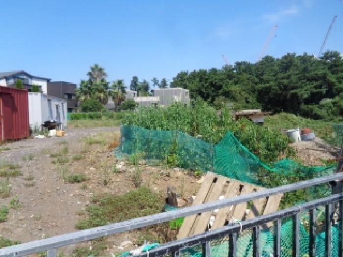 2025타경1626 법원경매 사진8 | 제주 제주시 과수원 경매