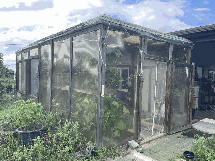 2025타경1635 법원경매 사진5 | 제주 제주시 대지,임야,전답 경매