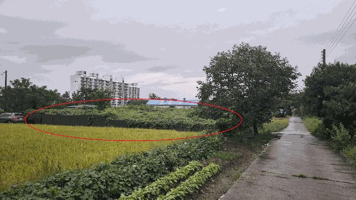 2025타경15982 법원경매 사진2 | 충남 예산군 대지 경매