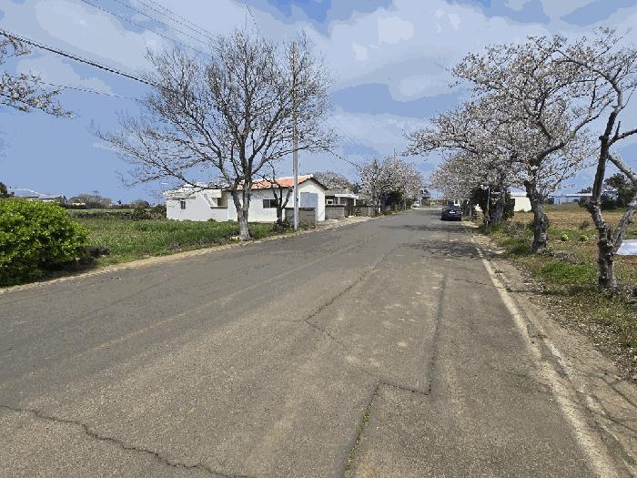 제주 제주시 한경면 고산리 2159-1 전 사진 2