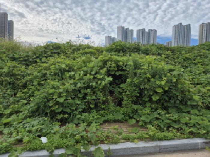 2025타경1370 법원경매 사진7 | 울산 북구 대지 경매