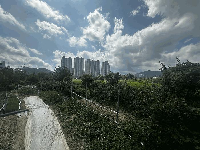 2025타경1421 법원경매 사진6 | 경남 양산시 답 경매