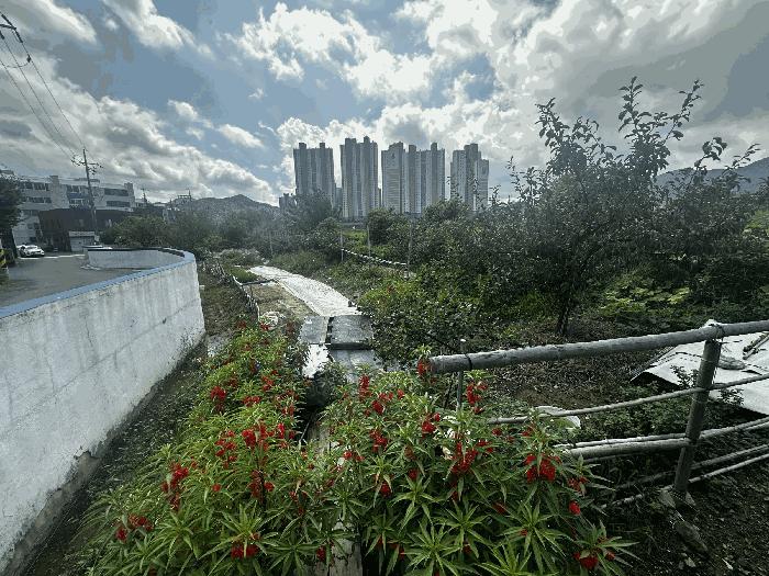 2025타경1421 법원경매 사진8 | 경남 양산시 답 경매
