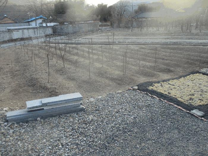 법원경매 2025타경10784 사진6 | 경주시 문무대왕면 장항리 361 답 경매