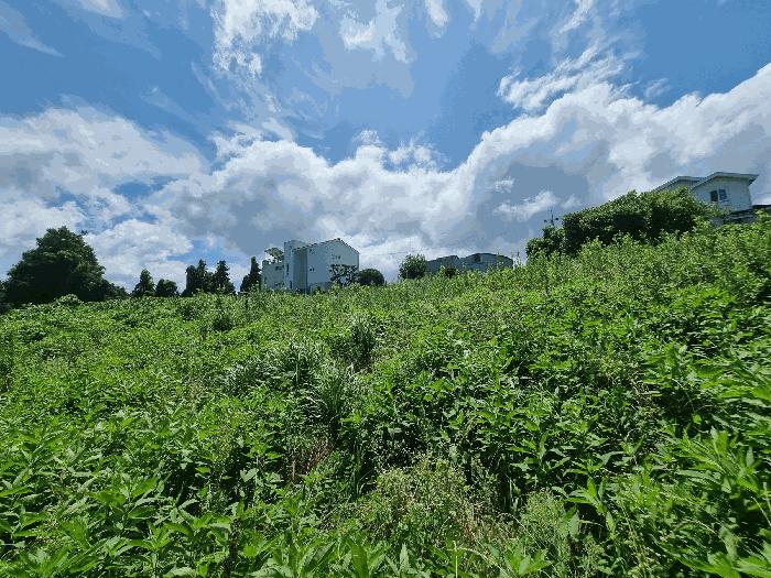 2025타경8514 법원경매 사진3 | 제주 제주시 전 경매