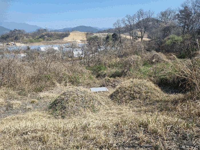 경상북도 김천시 농소면 월곡리 1133 법원경매 물건 대표사진