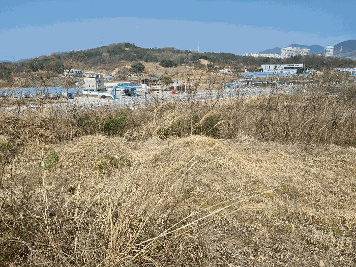 법원경매 2025타경286 사진5 | 김천시 농소면 월곡리 1133 전 경매