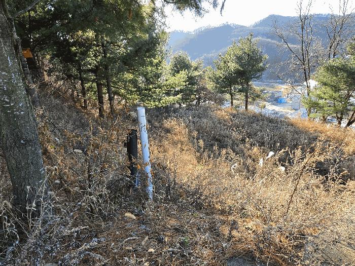 2025타경772 법원경매 사진12 | 천안 동남구 임야 경매