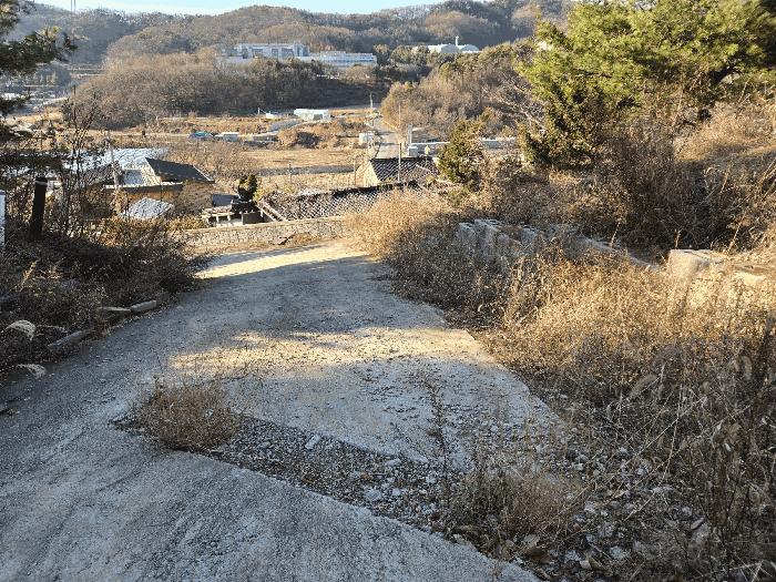 2025타경772 법원경매 사진14 | 천안 동남구 임야 경매