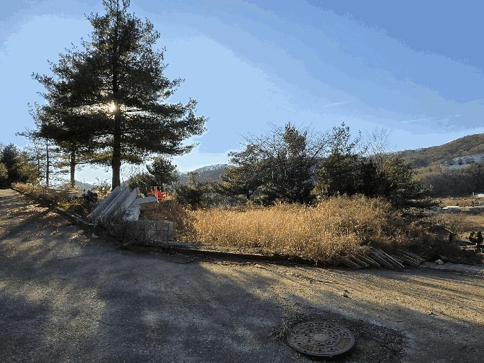 2025타경772 법원경매 사진17 | 천안 동남구 임야 경매