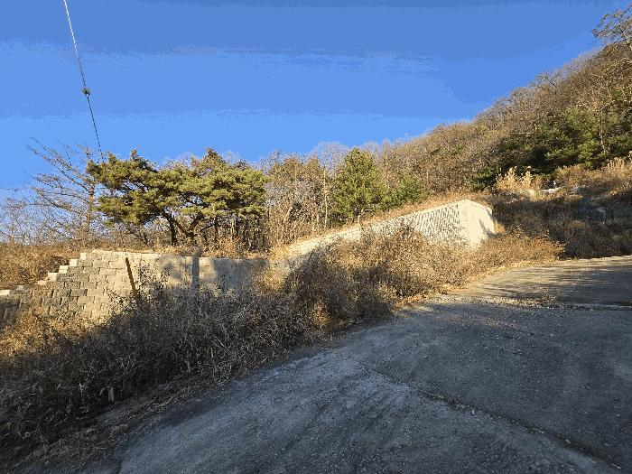 2025타경772 법원경매 사진20 | 천안 동남구 임야 경매
