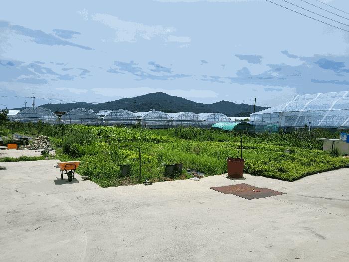 경상북도 김천시 봉산면 신리 239-6 법원경매 물건 대표사진