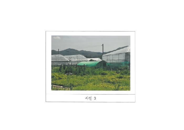 법원경매 2025타경376 사진10 | 김천시 봉산면 신리 239-6 전답 경매